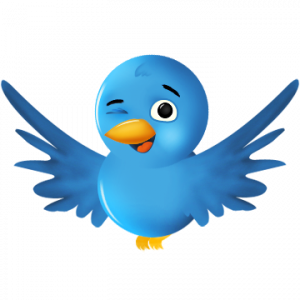 twitter-bird-2-300x300