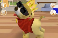 1257812019_touchpetsdogs2