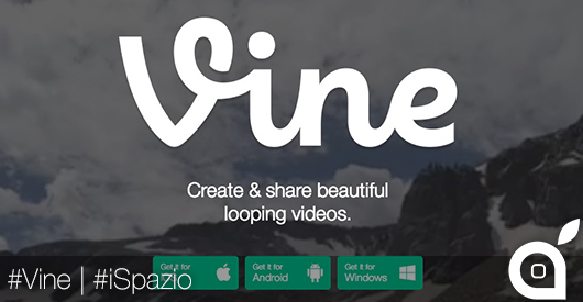 vine