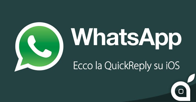 whatsapp quickreply