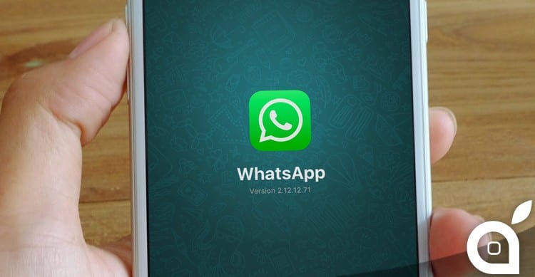 whatsapp anteprima ispazio