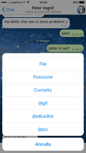 Bot Allegati telegram