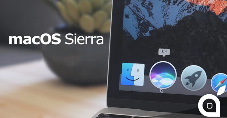 sierra